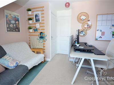 Picture 24